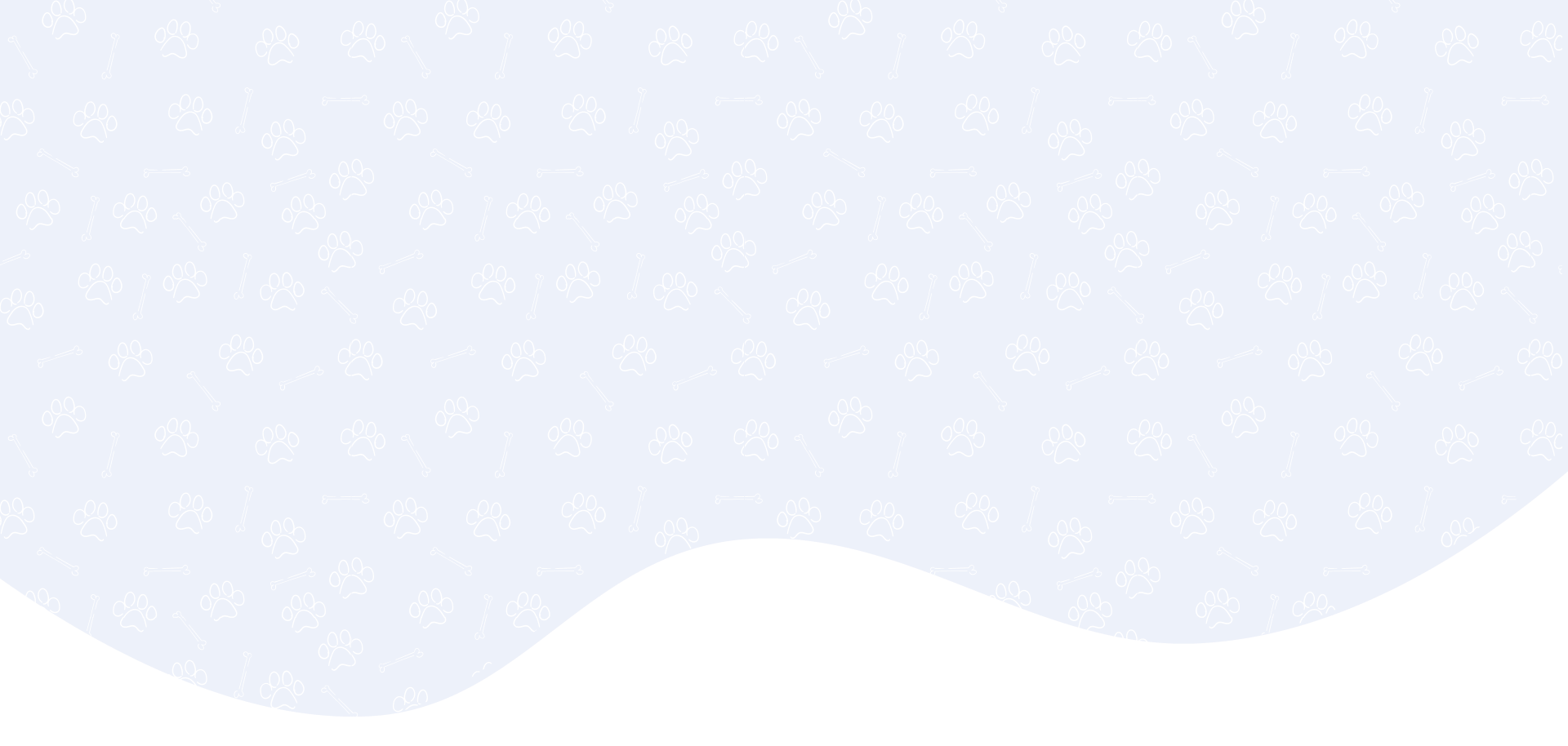 banner background